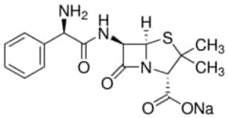 Sigma Aldrich Fine Chemicals Biosciences&nbsp;Ampicillin sodium salt suitable for plant cell culture | 69-52-3 | MFCD00064313 | 100g