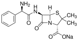 Sigma Aldrich Fine Chemicals Biosciences Ampicillin sodium salt | 69-52-3