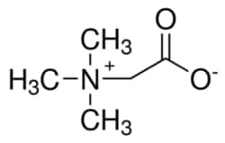 Sigma Aldrich Fine Chemicals Biosciences Betaine solution 5 M, PCR Reagent