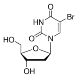 Sigma Aldrich Fine Chemicals Biosciences&nbsp;5-Bromo-2′-deoxyuridine | 59-14-3 | MFCD00006529  | 1g