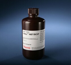 Avanti Polar Lipids 1,2-dipalmitoyl-sn-glycero-3-phosphoethanolamine-N-(6-azidohexanoyl) (ammonium salt), 2252461-34-8, 25 mg