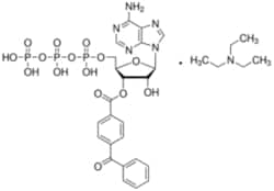 Sigma Aldrich Fine Chemicals Biosciences&nbsp;2′(3′)-O-(4-Benzoylbenzoyl)adenosine 5′-triphosphate triethylammonium salt | 112898-15-4 | MFCD00058547  | 25mg