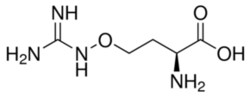 Sigma Aldrich Fine Chemicals Biosciences L-Canavanine | 543-38-4 | MFCD00055781