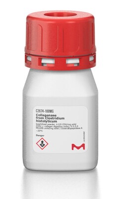 Sigma Aldrich Fine Chemicals Biosciences Collagenase from Clostridium histolyticum