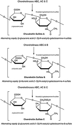 Sigma Aldrich Fine Chemicals Biosciences Chondroitinase ABC from Proteus