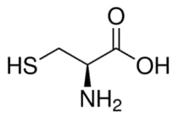 Sigma Aldrich Fine Chemicals Biosciences L-Cysteine | 52-90-4 | MFCD00064306