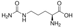 Sigma Aldrich Fine Chemicals Biosciences L-Citrulline | 372-75-8 | MFCD00064397
