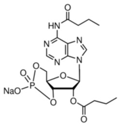 Sigma Aldrich Fine Chemicals Biosciences N6,2′-O-Dibutyryladenosine 3′,5′-cyclic