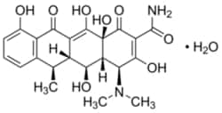 Sigma Aldrich Fine Chemicals Biosciences Doxycycline monohydrate | 17086-28-1 | MFCD02682958 | 500mg | Buy Online | Sigma Aldrich Fine Chemicals Biosciences | Fisher Scientific