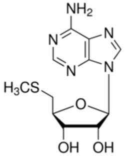 Sigma Aldrich Fine Chemicals Biosciences 5′-Deoxy-5′-(methylthio)adenosine