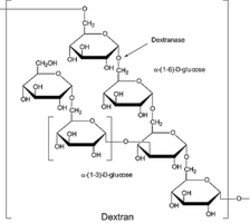 Sigma Aldrich Fine Chemicals Biosciences Dextranase from Penicillium sp.
