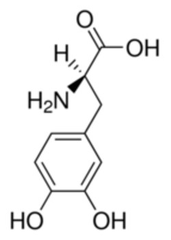 Sigma Aldrich Fine Chemicals Biosciences 3,4-Dihydroxy-D-phenylalanine