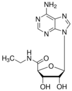 Sigma Aldrich Fine Chemicals Biosciences 5′-(N-Ethylcarboxamido)adenosine | 35920-39-9 | MFCD00069195 | 50mg