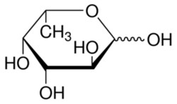 Sigma Aldrich Fine Chemicals Biosciences L-(−)-Fucose | 2438-80-4 | MFCD00135607