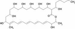 Chem-Impex International, Inc.&nbsp;Potassium tert-butoxide | MFCD00012162 | 25G