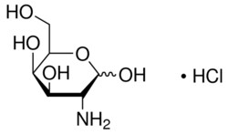Sigma Aldrich Fine Chemicals Biosciences D-(+)-Galactosamine hydrochloride | 1772-03-8 | MFCD00135830 | 5 g