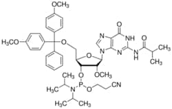 Sigma Aldrich Fine Chemicals Biosciences DMT-2′O-Methyl-rG(ib) Phosphoramidite | 150780-67-9 | MFCD00792625 | 10 g
