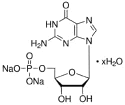 Sigma Aldrich Fine Chemicals Biosciences&nbsp;Guanosine 5'-monophosphate disodium salt hydrate from yeast, >=99% | 5550-12-9 | MFCD00151238 | 25G