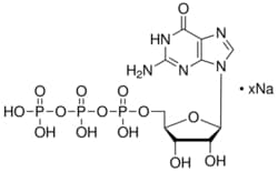 Sigma Aldrich Fine Chemicals Biosciences Guanosine 5′-triphosphate sodium salt hydrate powder | 36051-31-7 | MFCD00077781  | 100mg