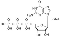 Sigma Aldrich Fine Chemicals Biosciences Guanosine 5′-triphosphate sodium
