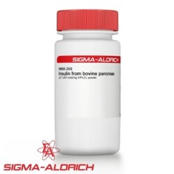 Sigma Aldrich Fine Chemicals Biosciences Insulin from bovine pancreas,