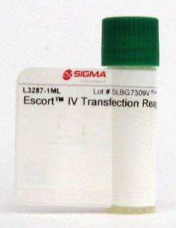 Sigma Aldrich Fine Chemicals Biosciences Escort IV Transfection Reagent,