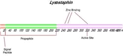 Sigma Aldrich Fine Chemicals Biosciences Lysostaphin from Staphylococcus