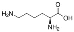 Sigma Aldrich Fine Chemicals Biosciences&nbsp;L-Lysine | 56-87-1 | MFCD00064433 | 100g