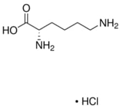 Sigma Aldrich Fine Chemicals Biosciences L-Lysine monohydrochloride | 657-27-2