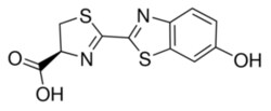 Sigma Aldrich Fine Chemicals Biosciences D-Luciferin synthetic | 2591-17-5