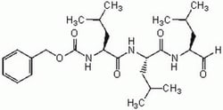 Chem-Impex International, Inc.&nbsp;Lithium chloride, anhydrous | 7447-41-8 | MFCD00011078 | 1KG