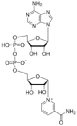 Sigma Aldrich Fine Chemicals Biosciences β-Nicotinamide adenine dinucleotide