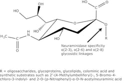 Sigma Aldrich Fine Chemicals Biosciences&nbsp;Neuraminidase from Clostridium perfringens (C. welchii) | 9001-67-6 | MFCD00131711 | 2.5un