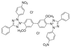 Sigma Aldrich Fine Chemicals Biosciences Nitro Blue Tetrazolium | 298-83-9