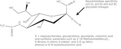 Sigma Aldrich Fine Chemicals Biosciences Neuraminidase from Clostridium