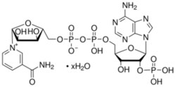 Sigma Aldrich Fine Chemicals Biosciences β-Nicotinamide adenine dinucleotide
