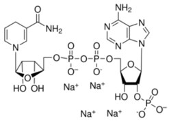 Sigma Aldrich Fine Chemicals Biosciences β-Nicotinamide adenine dinucleotide