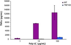 Sigma Aldrich Fine Chemicals Biosciences Polyinosinic–polycytidylic acid