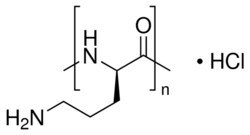 Sigma Aldrich Fine Chemicals Biosciences Poly-L-ornithine hydrochloride
