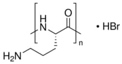 Sigma Aldrich Fine Chemicals Biosciences Poly-L-ornithine solution, 27378-49-0,