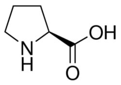 Sigma Aldrich Fine Chemicals Biosciences L-Proline | 147-85-3 | MFCD00064318