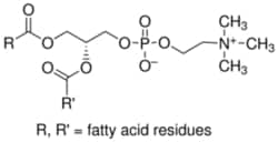 Sigma Aldrich Fine Chemicals Biosciences L-α-Phosphatidylcholine from soybean,