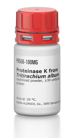 Sigma Aldrich Fine Chemicals Biosciences&nbsp;Proteinase K from Tritirachium album | 39450-01-6 | MFCD00132129 | 100mg