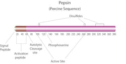 Sigma Aldrich Fine Chemicals Biosciences Pepsin from porcine gastric mucosa