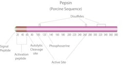 Sigma Aldrich Fine Chemicals Biosciences Pepsin from porcine gastric mucosa