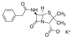Sigma Aldrich Fine Chemicals Biosciences Penicillin G potassium salt Penicillin