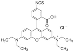 Sigma Aldrich Fine Chemicals Biosciences Rhodamine B isothiocyanate mixed