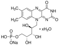 Sigma Aldrich Fine Chemicals Biosciences&nbsp;Riboflavin 5′-phosphate sodium salt hydrate | MFCD00150992 | 25g