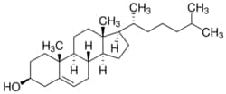 Sigma Aldrich Fine Chemicals Biosciences&nbsp;SyntheChol NS0 Supplement | 57-88-5 | MFCD00003646 | 10 mL