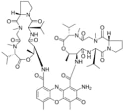 Sigma Aldrich Fine Chemicals Biosciences Actinomycin D, Ready Made Solution